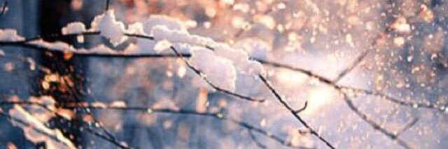 hong70701's profile banner image