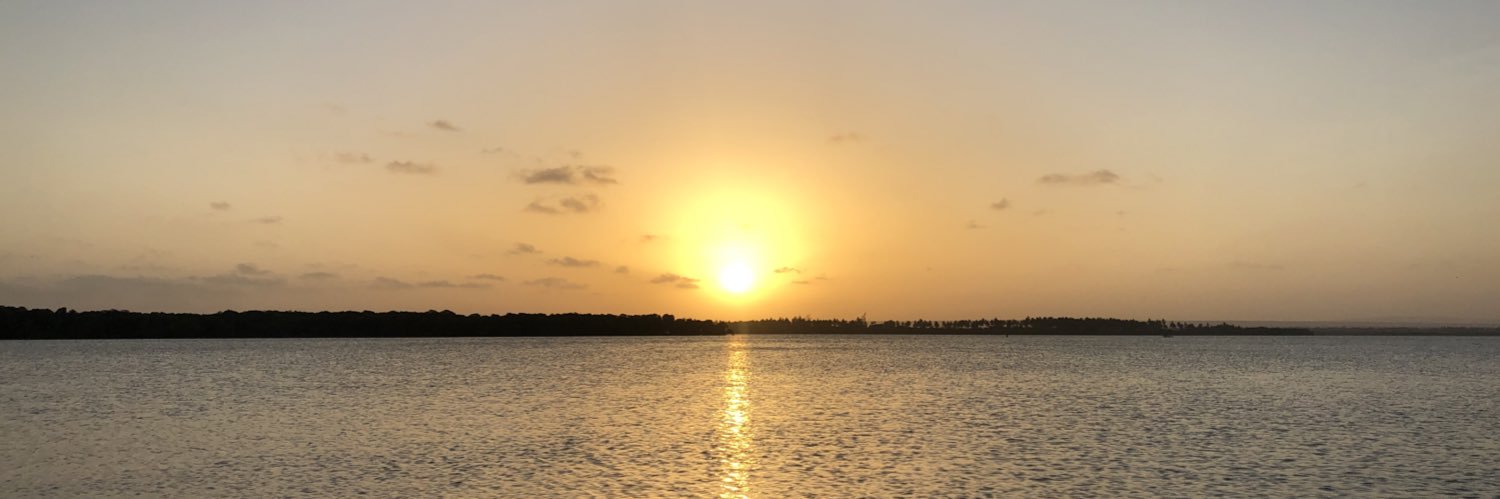 musau_c's profile banner image