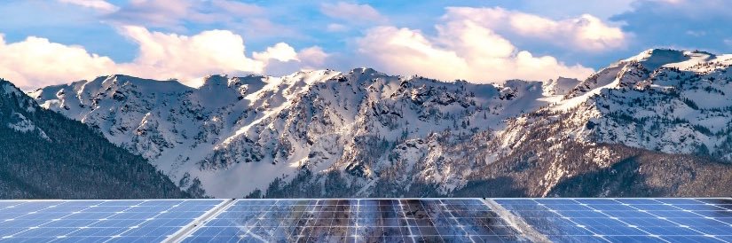 Blue Bear Capital banner