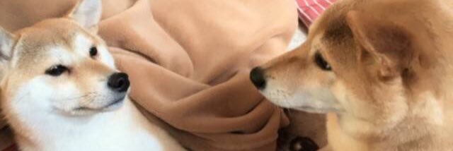 食ぱん大好き「ぱんおじさん」 banner