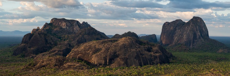Niassa_Wild's profile banner image