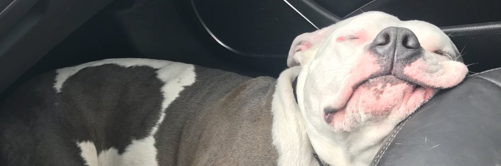 erickafay's profile banner image