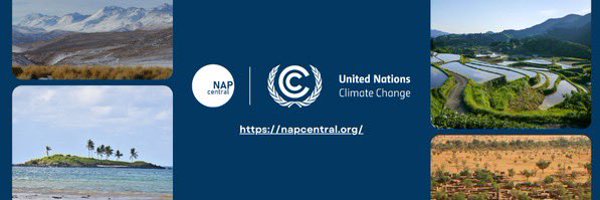 NAP_Central Profile Banner