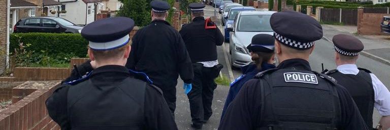 Hayes Town SNT banner