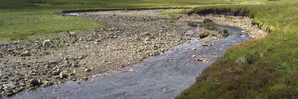 YorkshireiCASP Profile Banner