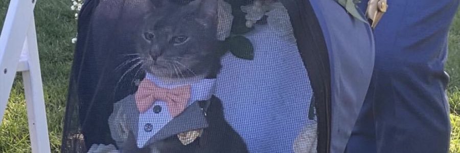 hanniee0127's profile banner image