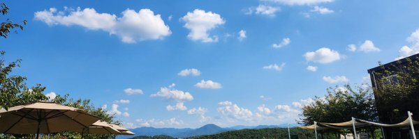 yurimsoop Profile Banner