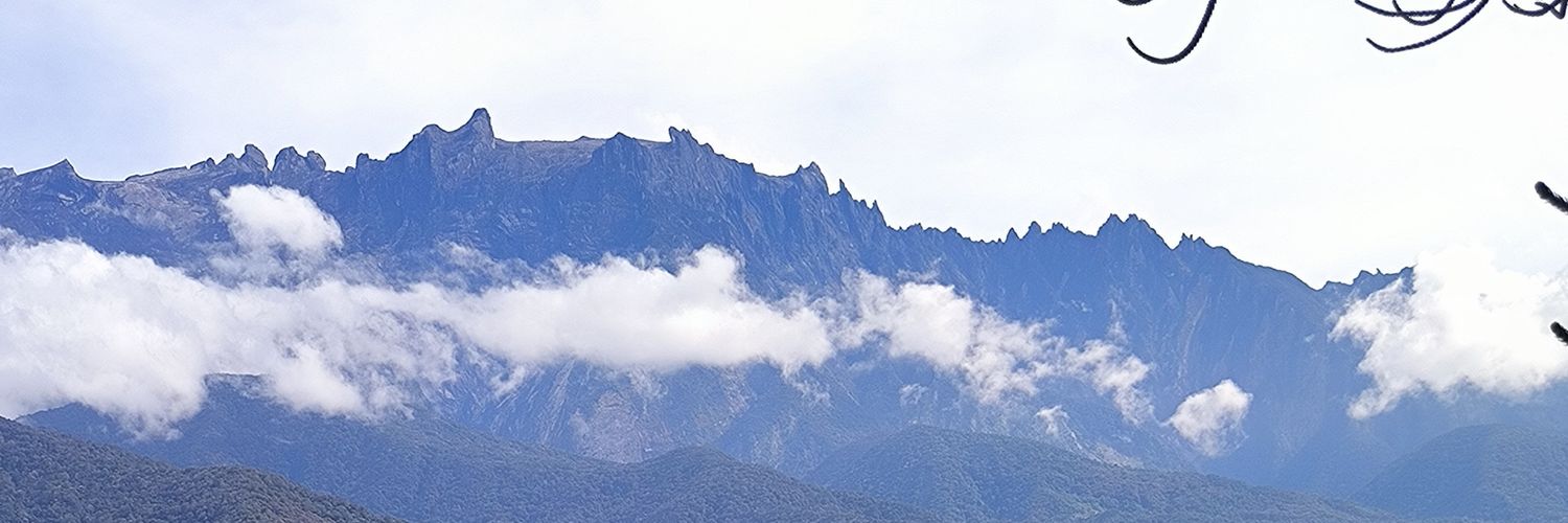 tinglip's profile banner image