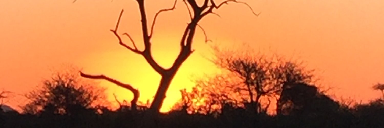 CaroleLCampbell's profile banner image