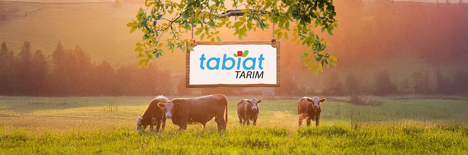 tabiattarim's profile banner image
