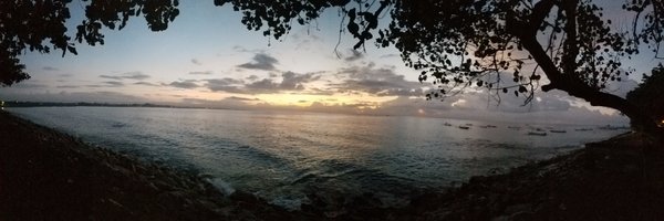 tashal_b Profile Banner