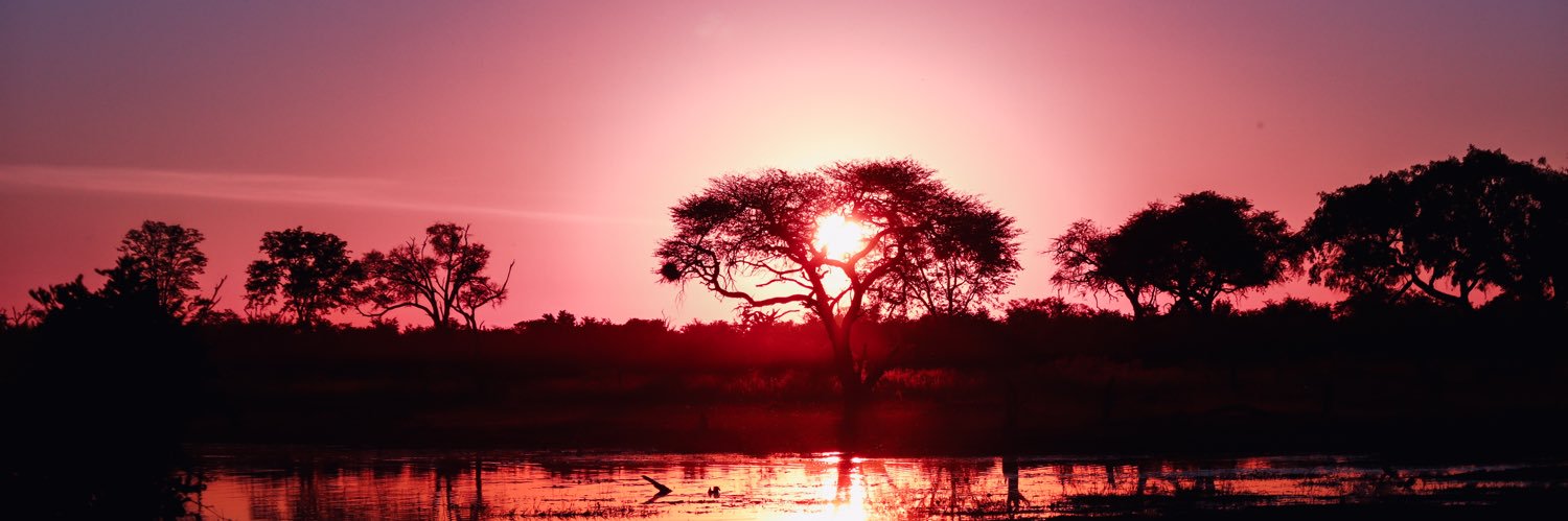 Will Todd (wills.vision) banner