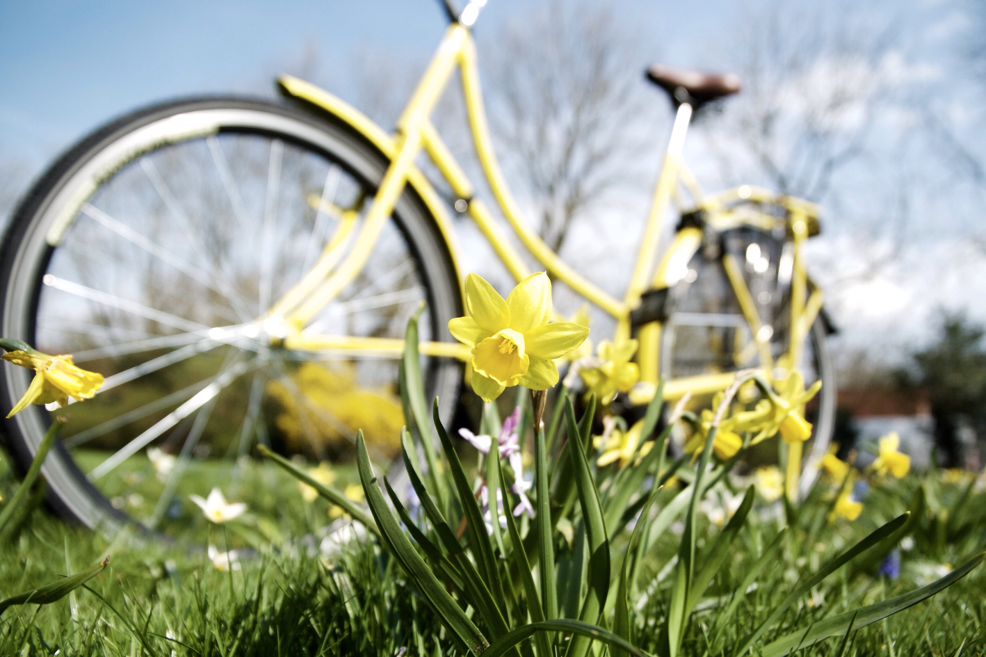 Flieks Fietsen banner