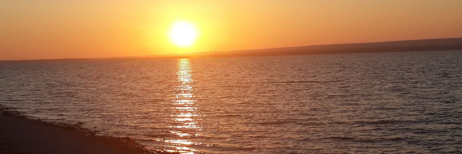 mrlsvs's profile banner image