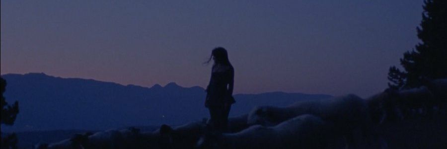 Irene 🌙 banner