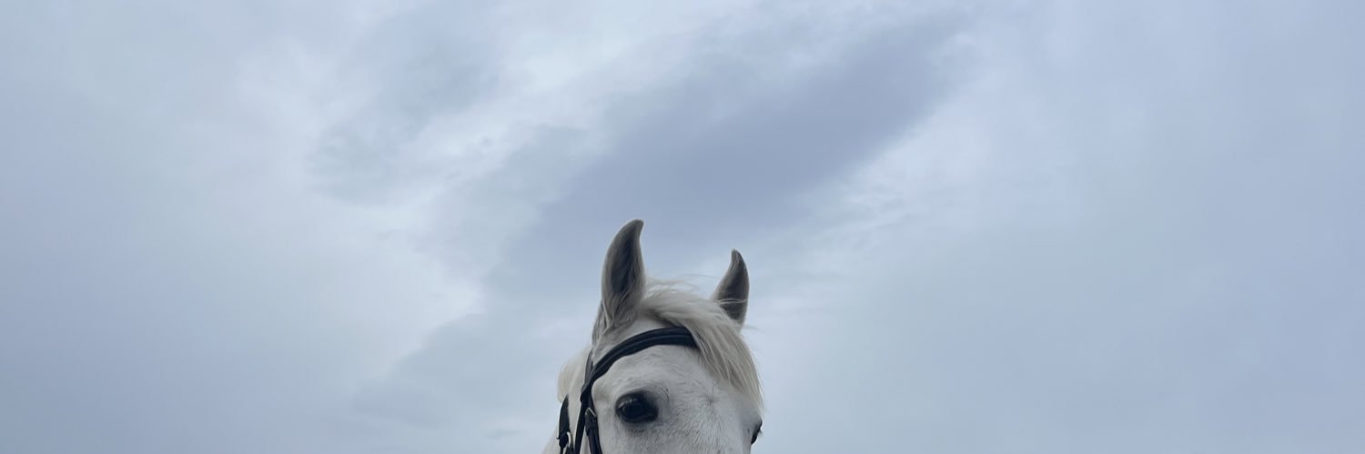 bestetosunn's profile banner image