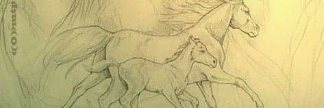 Alebelda banner