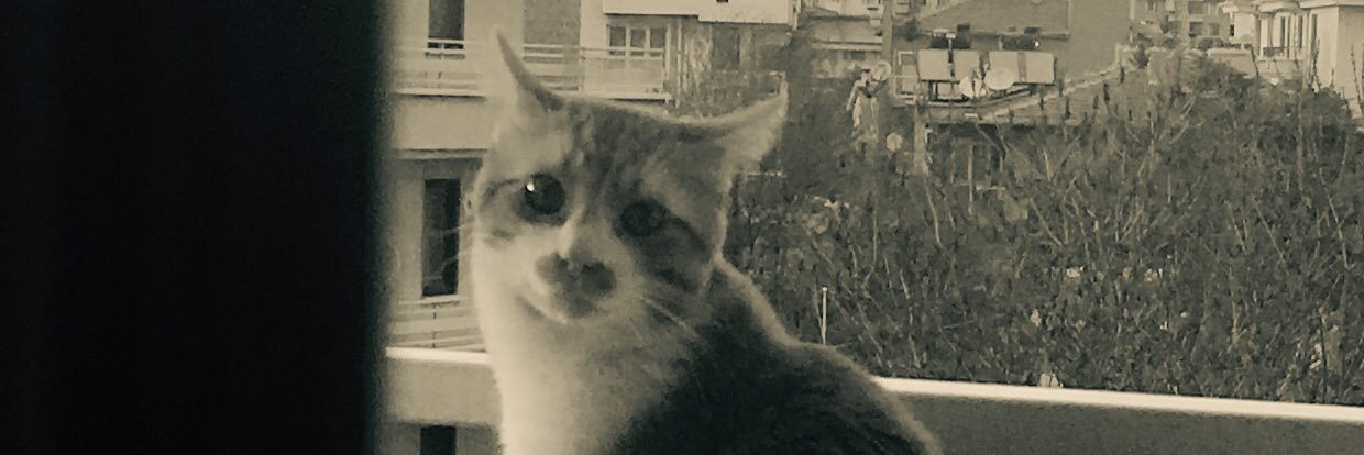 bethrezen666's profile banner image