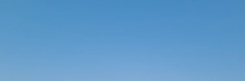 syu banner