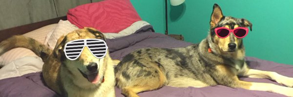 MichaelMischiek Profile Banner