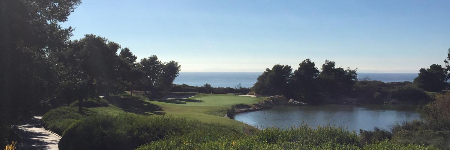 foreleftPGA's profile banner image
