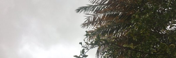 aldeem11 Profile Banner