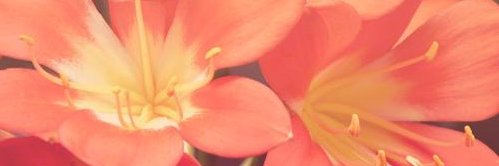 日照良家快餐寻欢 banner