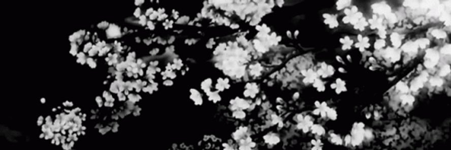 DevTheGiant's profile banner image