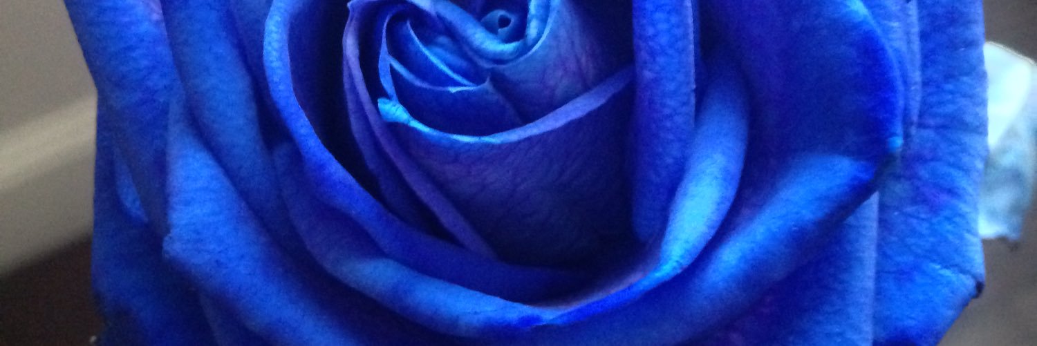 xyxcc's profile banner image