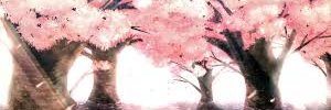 CIT_AnimeSoc's profile banner image