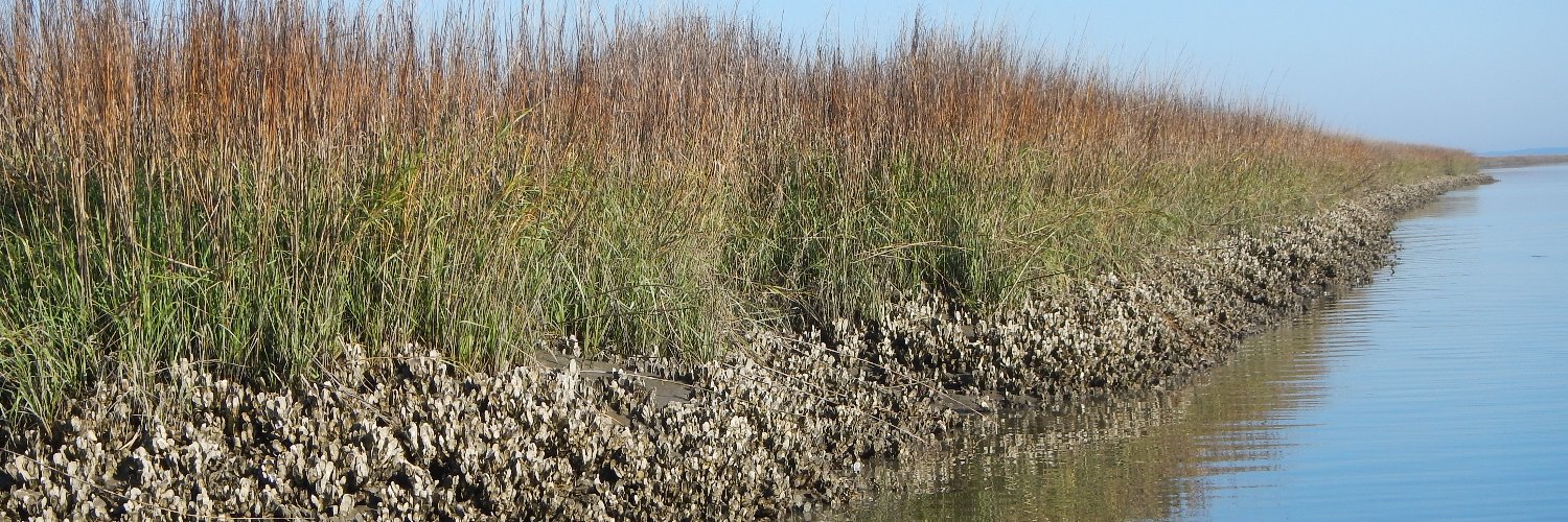 Byers Ecology Lab banner