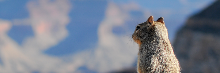 LowGi_'s profile banner image