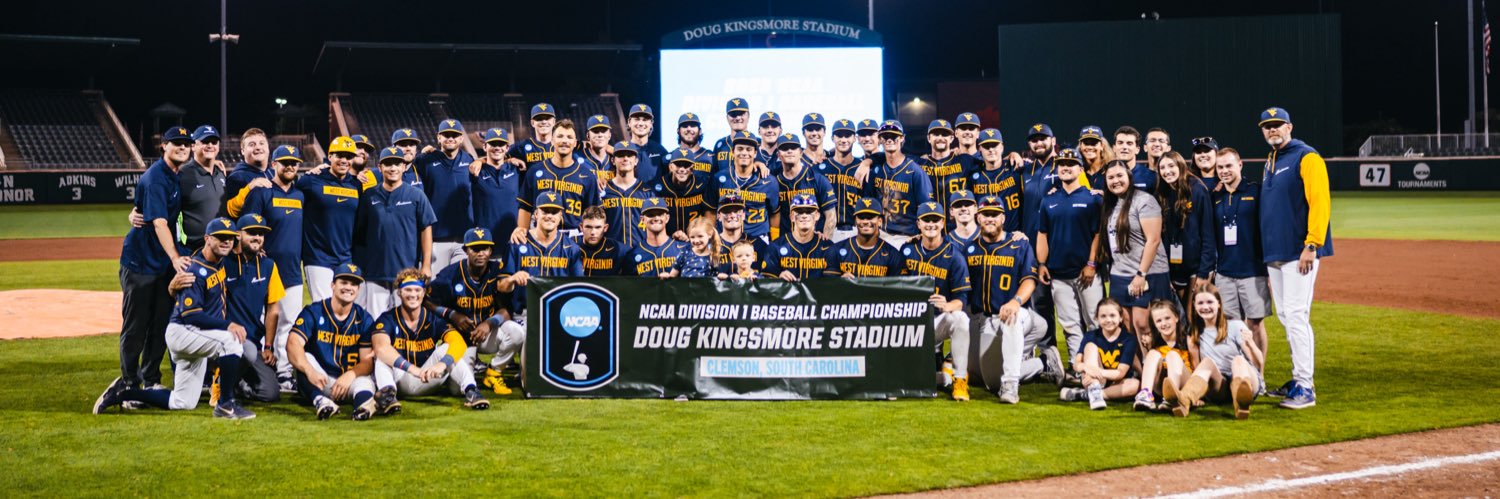 WVU Baseball's banner