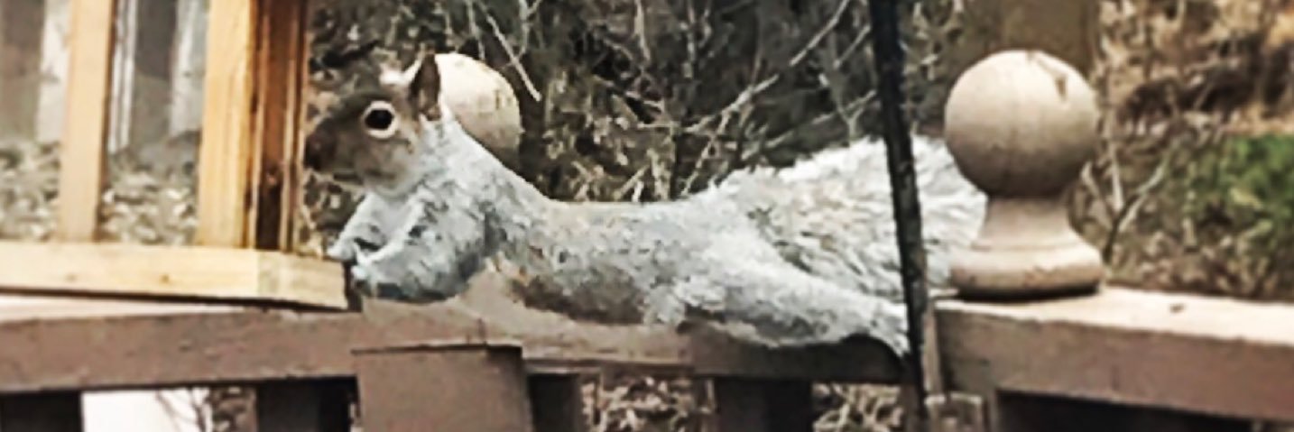 jeffreygentry's profile banner image