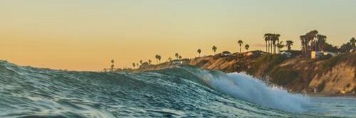 Cruncher Sawa banner