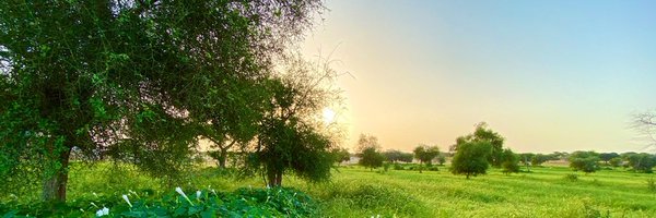 qaallaam's profile banner image