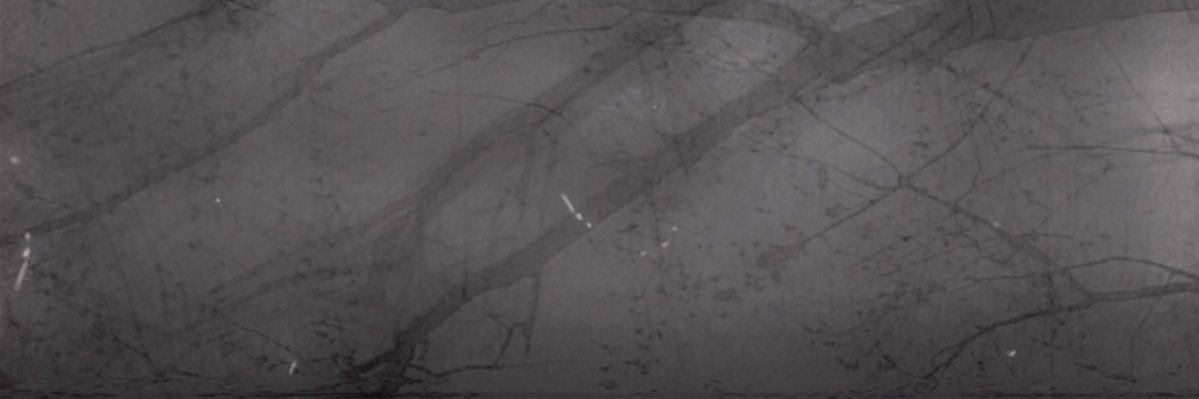 thegbars's profile banner image