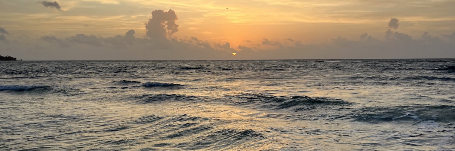 Sara Diaz banner