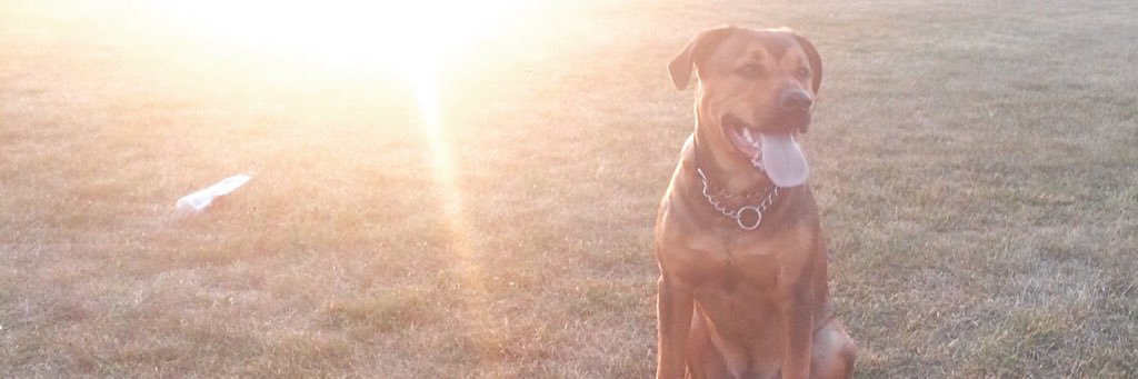 BonQui13's profile banner image