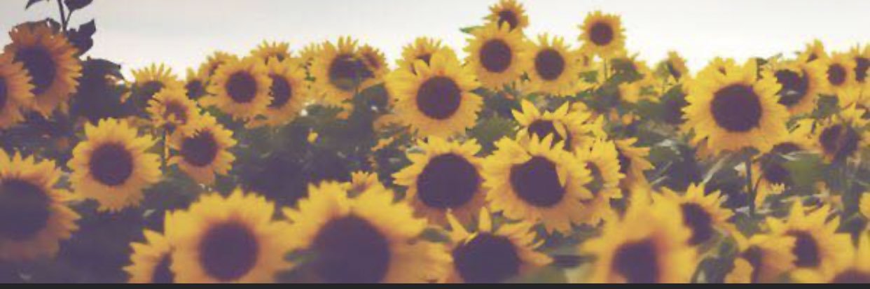 SHecnely's profile banner image