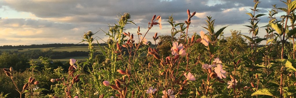 Nab_End's profile banner image