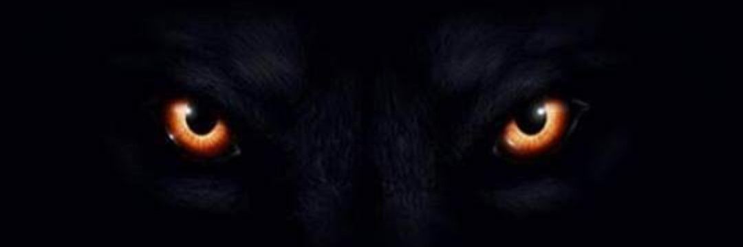 Conrad banner