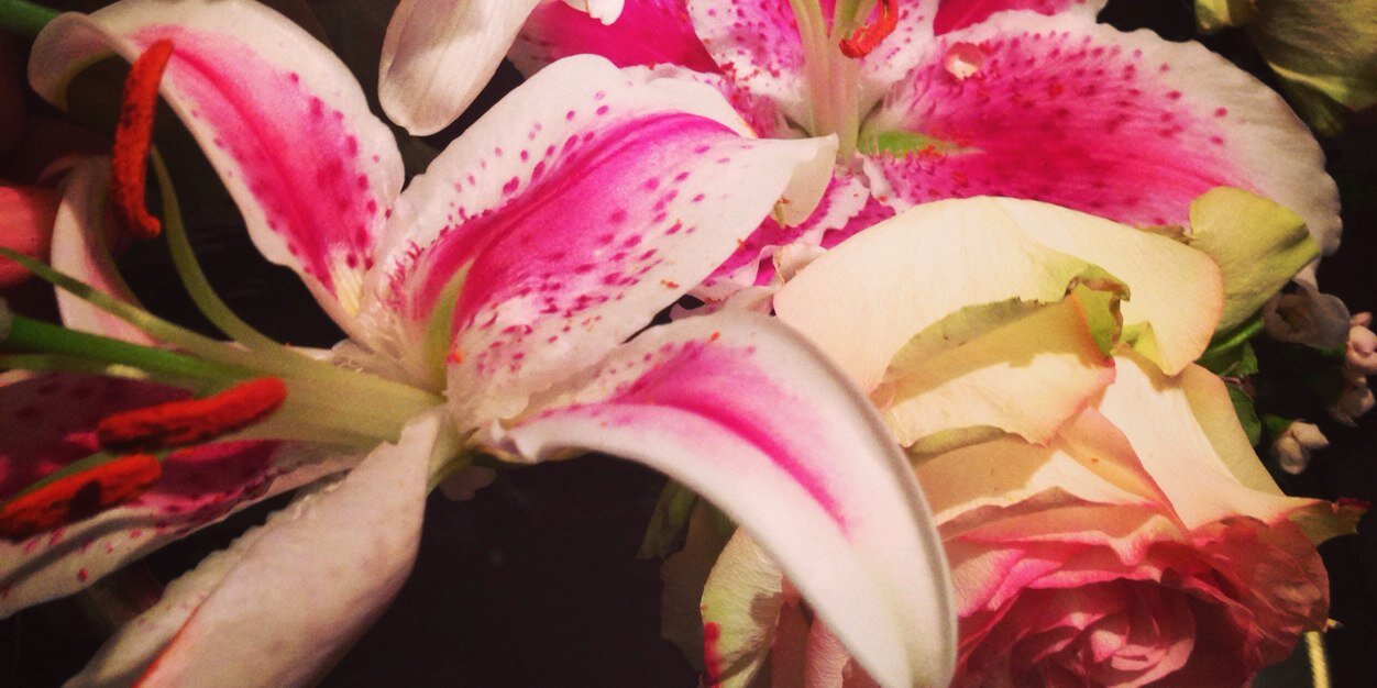 LibbyBEngland's profile banner image