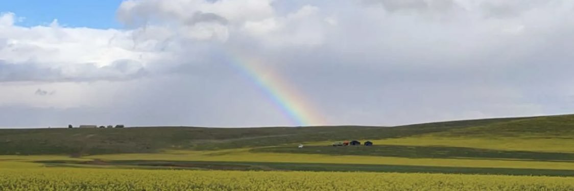 حمـود خالد الطويّح banner