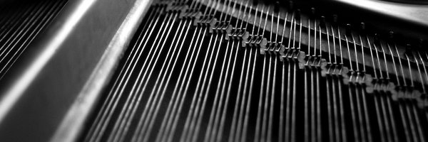 cschweitzer Profile Banner