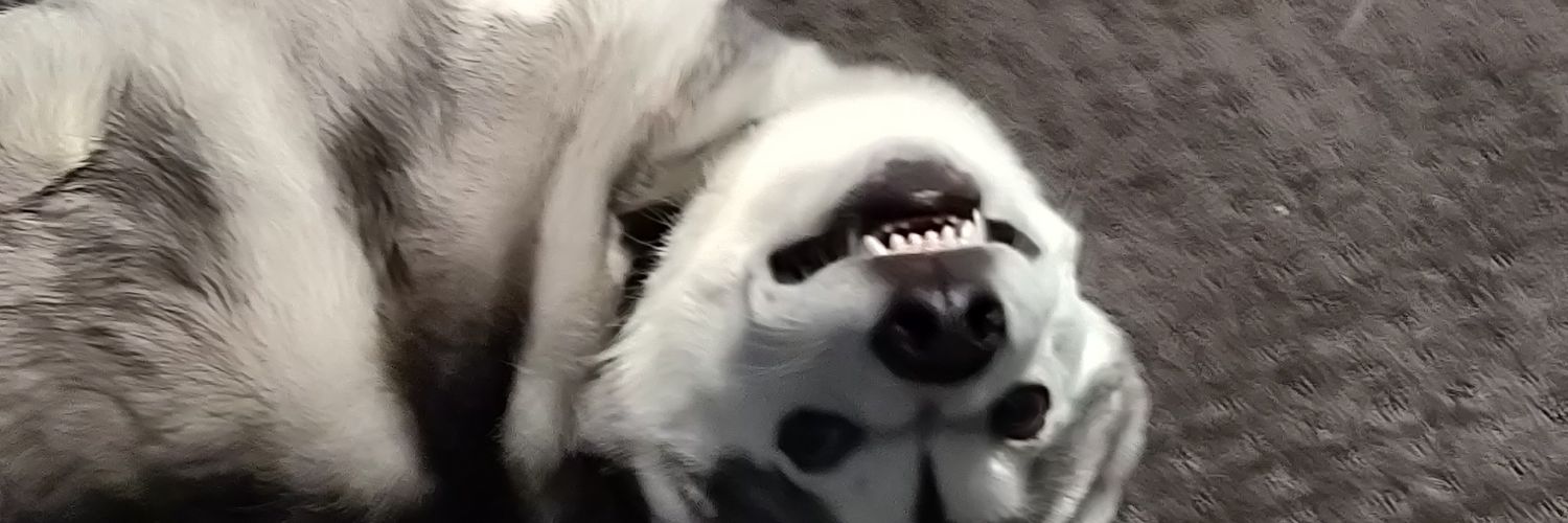 Ashkanimous's profile banner image