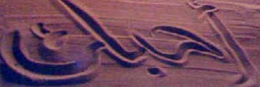 mes_55's profile banner image