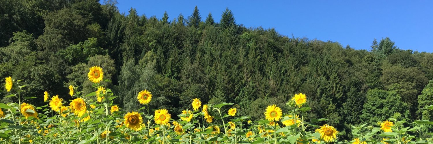 paulacwalter's profile banner image