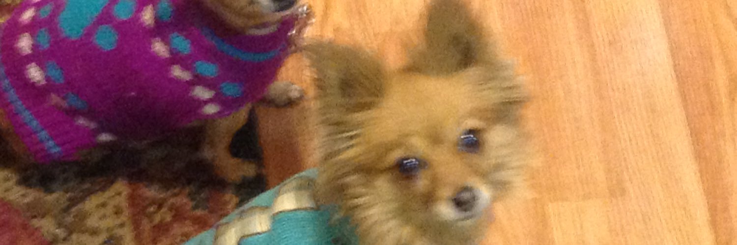 RatedM4Mature17 banner