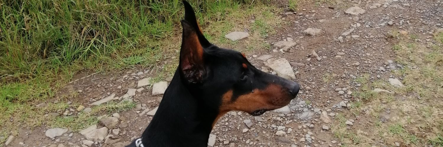 lord_arias's profile banner image